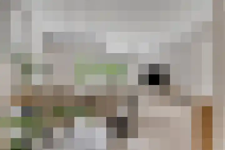 Blotenburgerhof 10 Woudenberg thumbnail 10