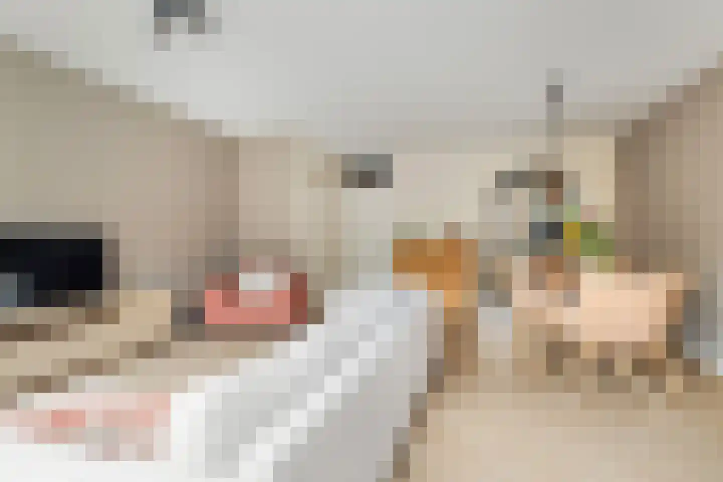 Blotenburgerhof 10 Woudenberg thumbnail 11