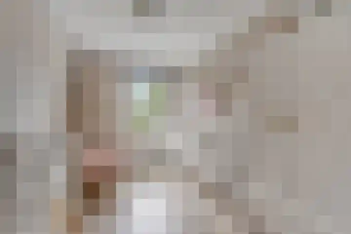 Blotenburgerhof 10 Woudenberg thumbnail 16