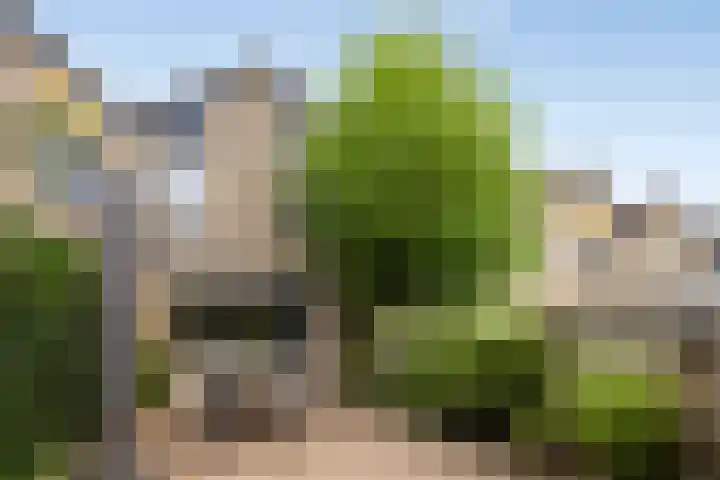 Blotenburgerhof 10 Woudenberg thumbnail 21
