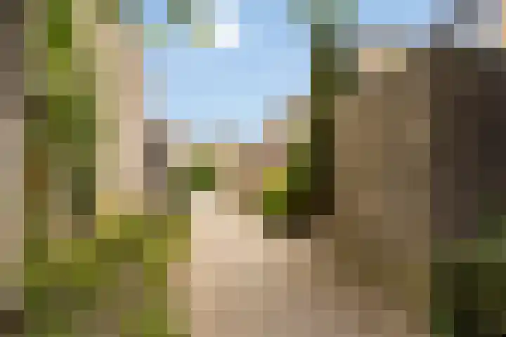 Blotenburgerhof 10 Woudenberg thumbnail 23