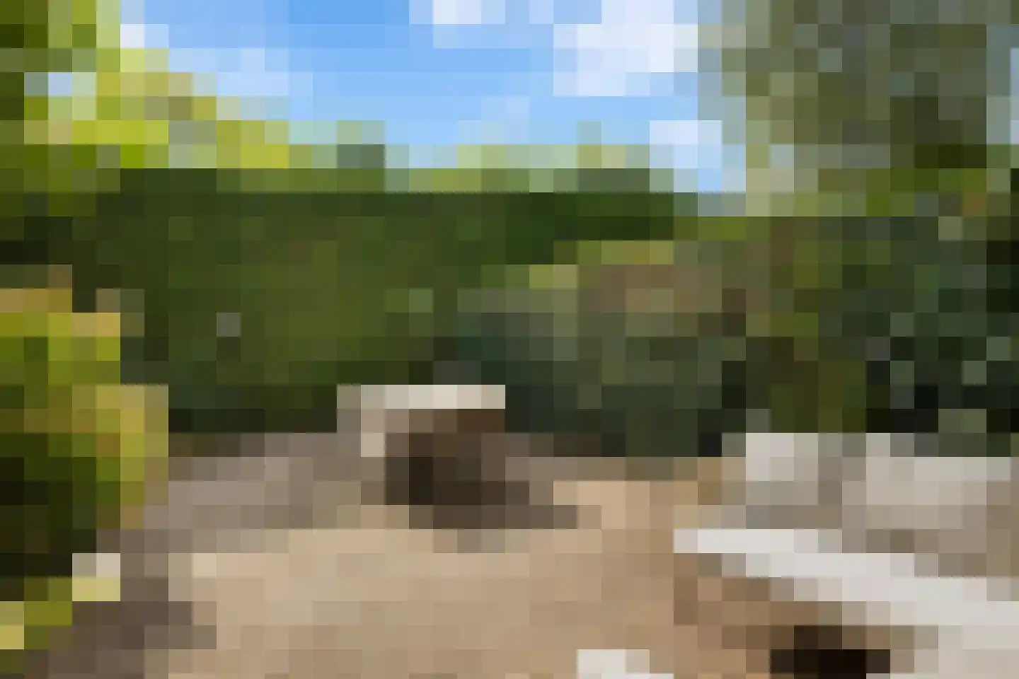 Blotenburgerhof 10 Woudenberg thumbnail 27