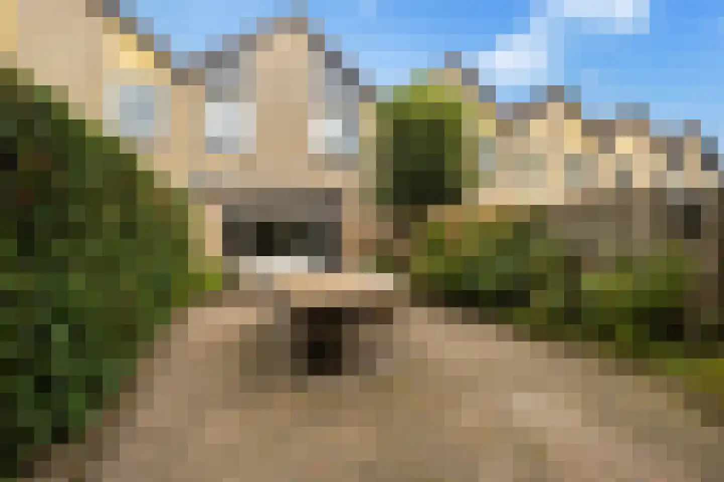 Blotenburgerhof 10 Woudenberg thumbnail 29