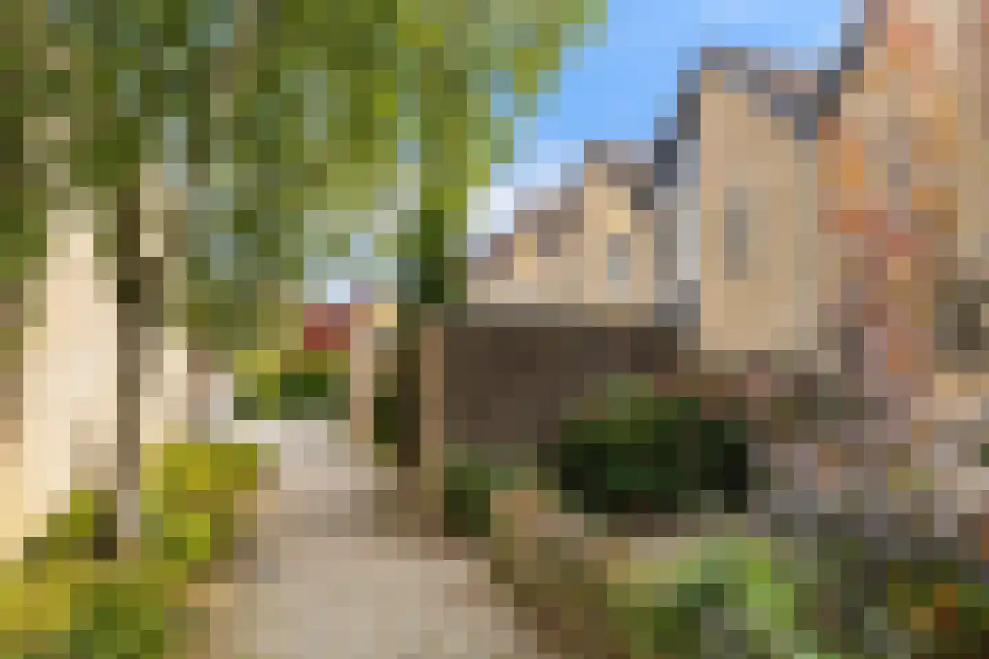 Blotenburgerhof 10 Woudenberg thumbnail 33