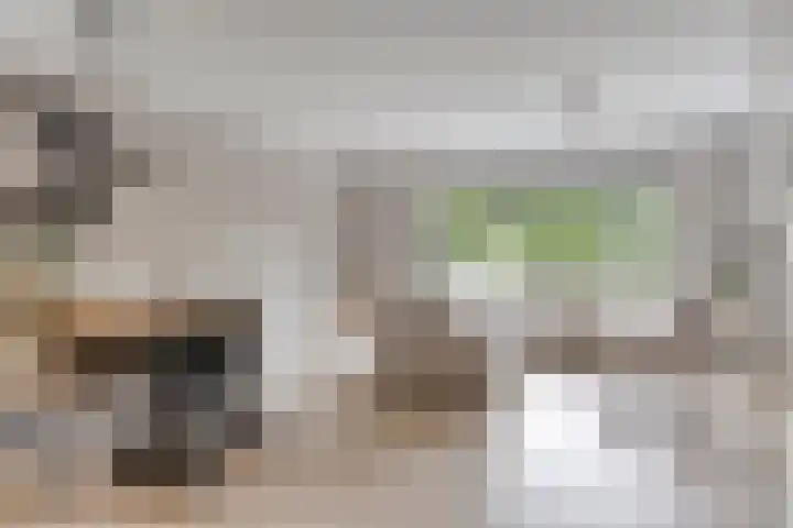 Blotenburgerhof 10 Woudenberg thumbnail 4