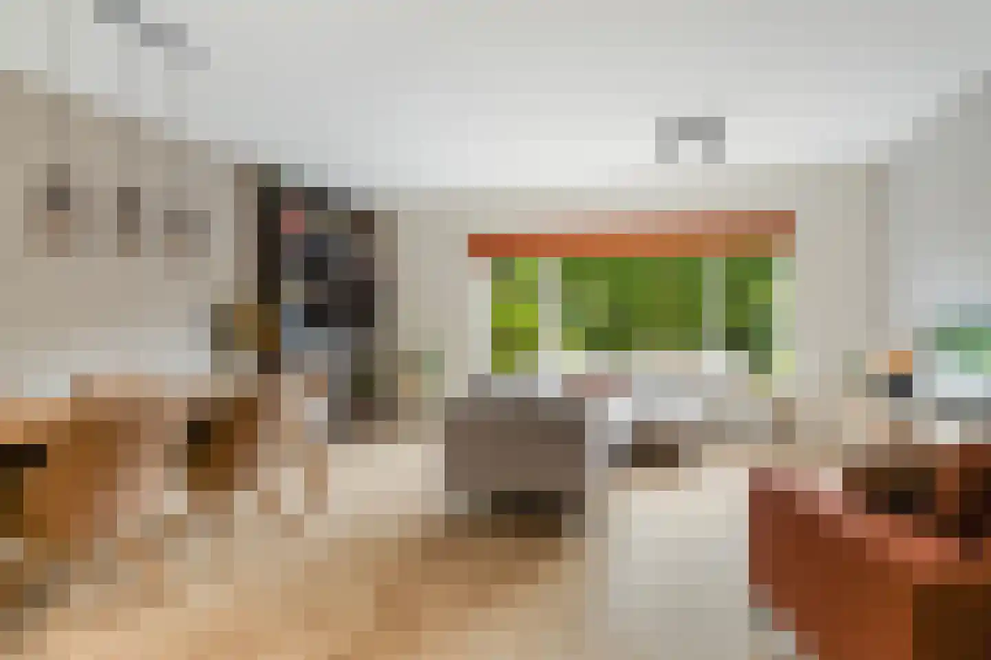Blotenburgerhof 10 Woudenberg thumbnail 4
