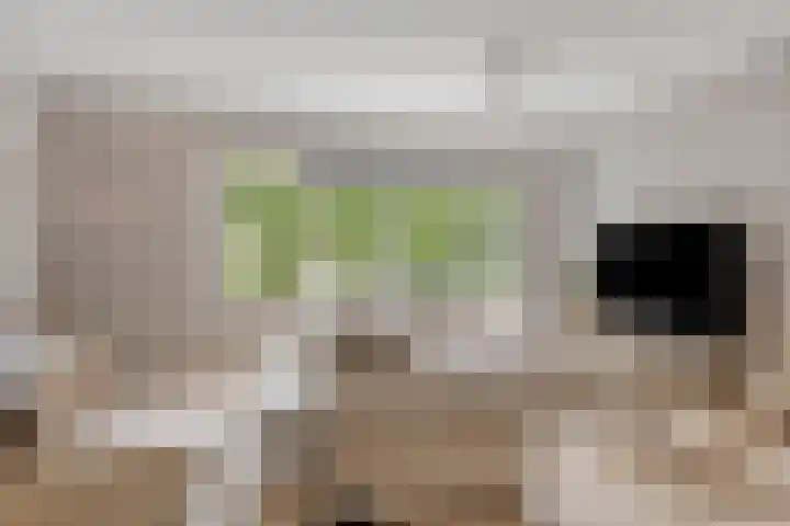 Blotenburgerhof 10 Woudenberg thumbnail 5