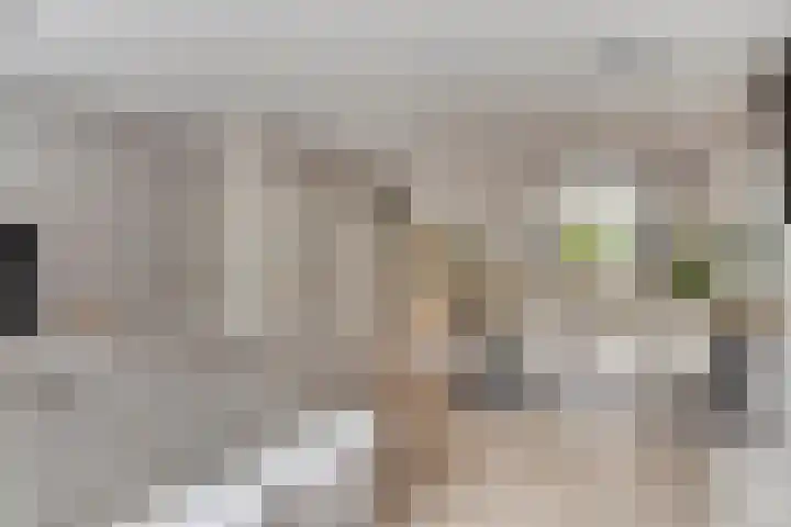 Blotenburgerhof 10 Woudenberg thumbnail 7