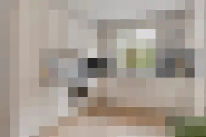 Blotenburgerhof 10 Woudenberg thumbnail 8
