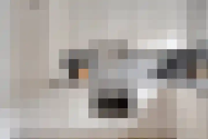 Blotenburgerhof 10 Woudenberg thumbnail 9