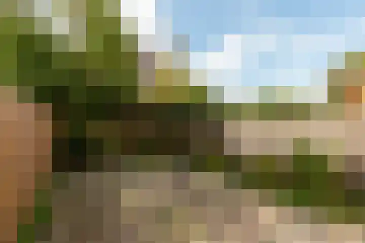 Blotenburgerhof 13 Woudenberg thumbnail 16