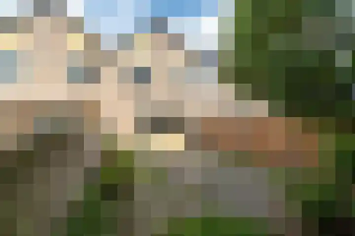 Blotenburgerhof 13 Woudenberg thumbnail 17
