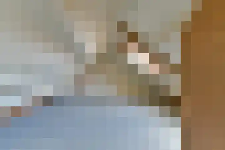 Blotenburgerhof 13 Woudenberg thumbnail 31