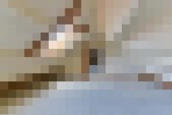 Blotenburgerhof 13 Woudenberg thumbnail 32