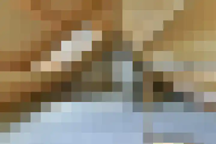 Blotenburgerhof 13 Woudenberg thumbnail 33