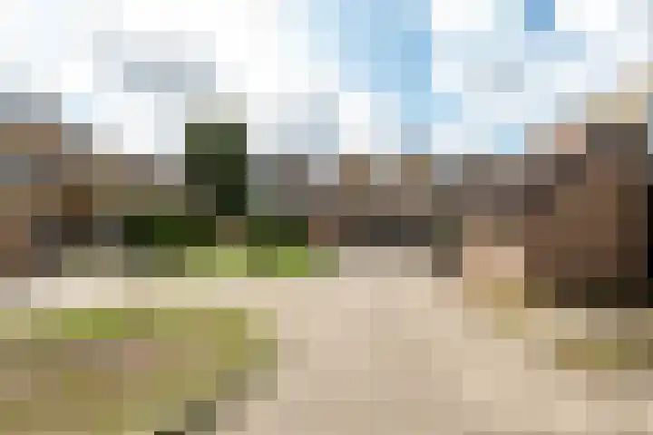 Blotenburgerhof 13 Woudenberg thumbnail 34