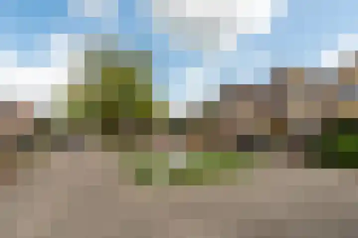 Blotenburgerhof 13 Woudenberg thumbnail 35