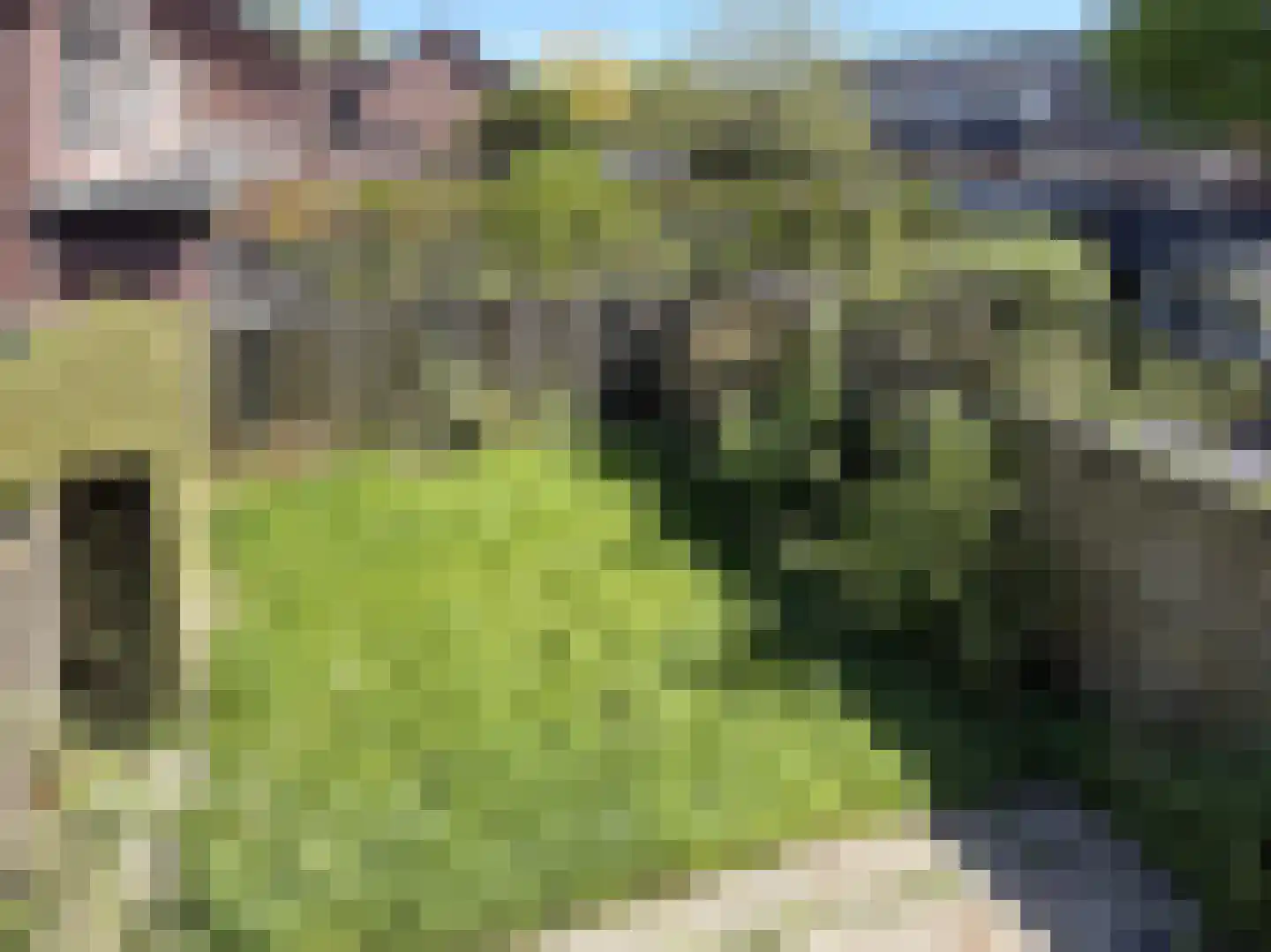 Blotenburgerhof 16 Woudenberg thumbnail 16