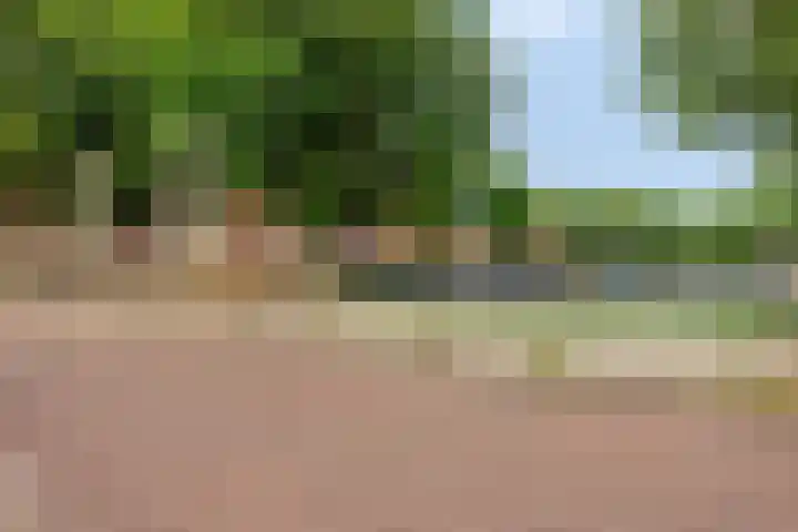 Bloys van Treslongstraat 10 1 Amsterdam thumbnail 22