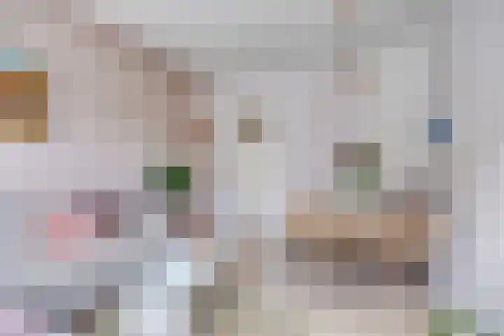 Bloys van Treslongstraat 10 1 Amsterdam thumbnail 4