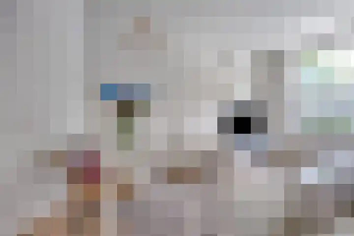Bloys van Treslongstraat 10 1 Amsterdam thumbnail 6