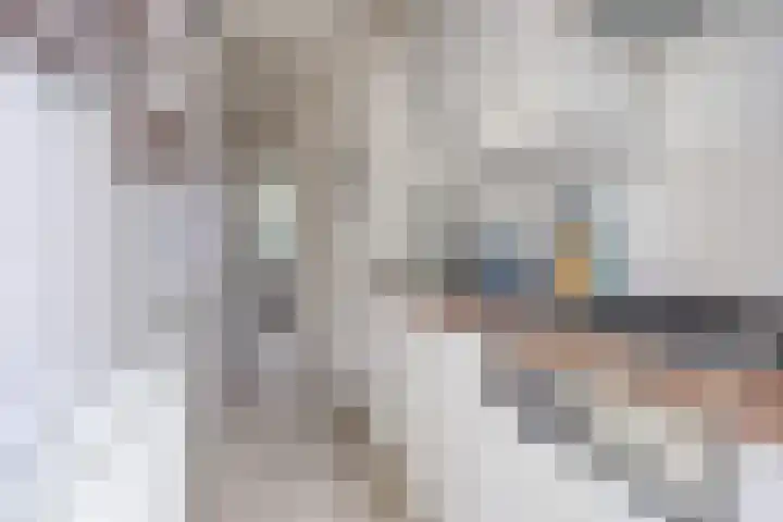 Bloys van Treslongstraat 10 1 Amsterdam thumbnail 7