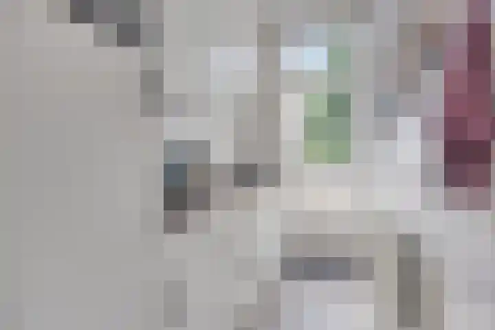 Bloys van Treslongstraat 10 1 Amsterdam thumbnail 8