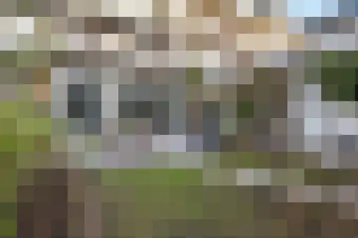 Bloys van Treslongstraat 13 H Amsterdam thumbnail 24