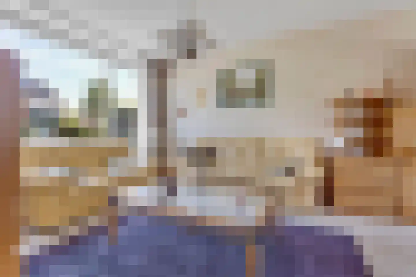 Bloys van Treslongstraat 16 Oud-Beijerland thumbnail 6