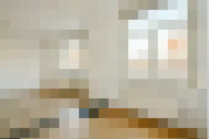 Bloys van Treslongstraat 19 1 Amsterdam thumbnail 5