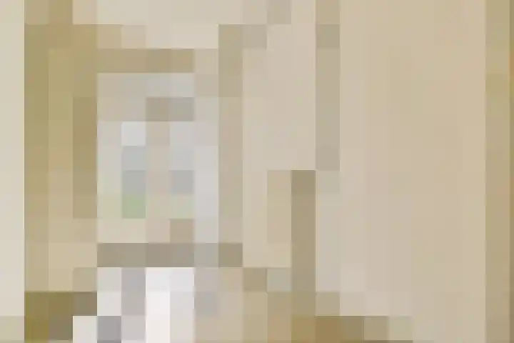 Bloys van Treslongstraat 21 1 Amsterdam thumbnail 17