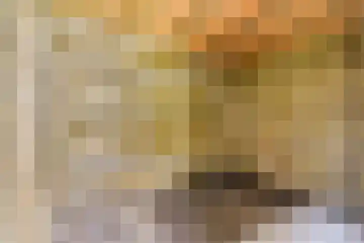 Bloys van Treslongstraat 21 1 Amsterdam thumbnail 19