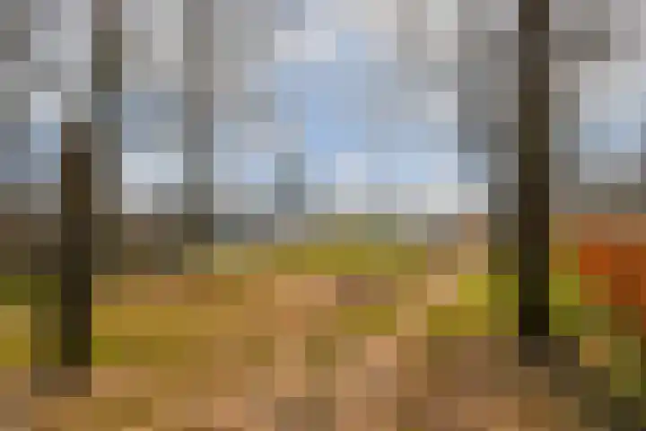 Bloys van Treslongstraat 21 1 Amsterdam thumbnail 24