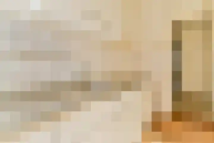 Bloys van Treslongstraat 21 1 Amsterdam thumbnail 8