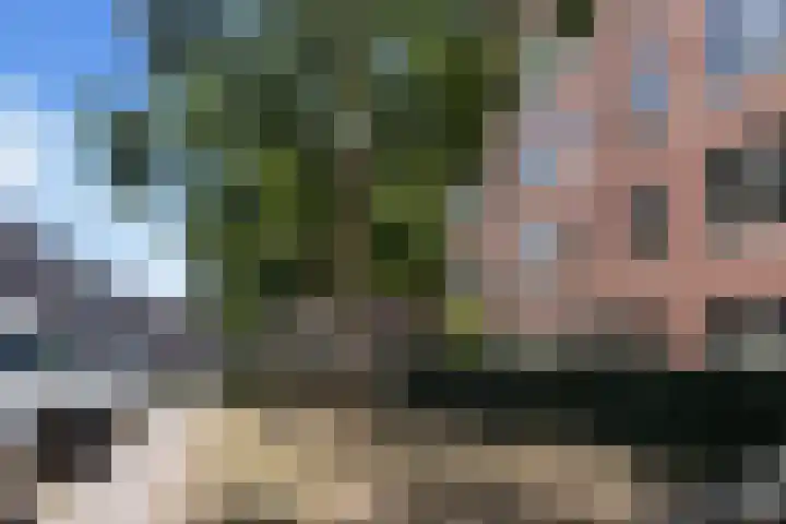 Bloys van Treslongstraat 22 3 Amsterdam thumbnail 21