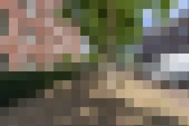 Bloys van Treslongstraat 22 3 Amsterdam thumbnail 23