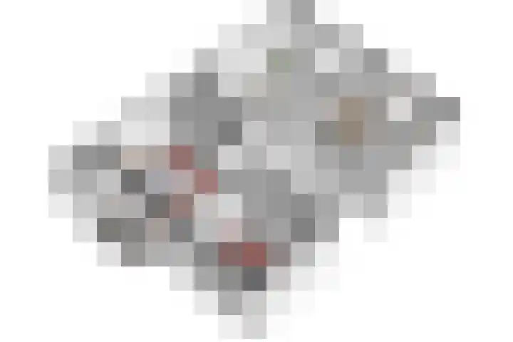 Bloys van Treslongstraat 22 3 Amsterdam thumbnail 30
