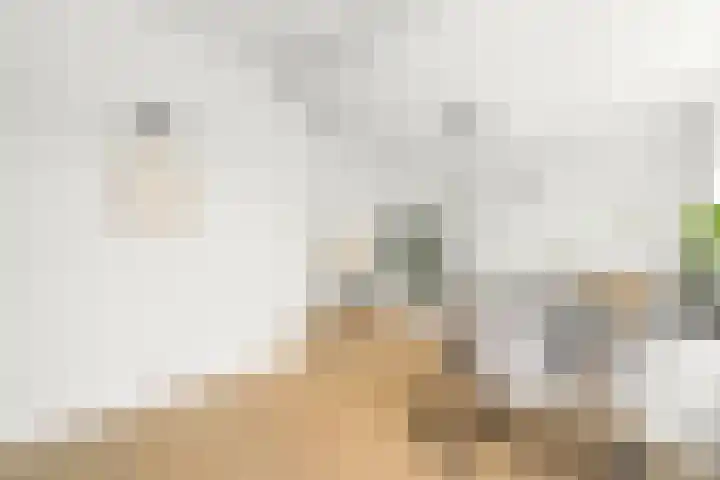 Bloys van Treslongstraat 22 3 Amsterdam thumbnail 5