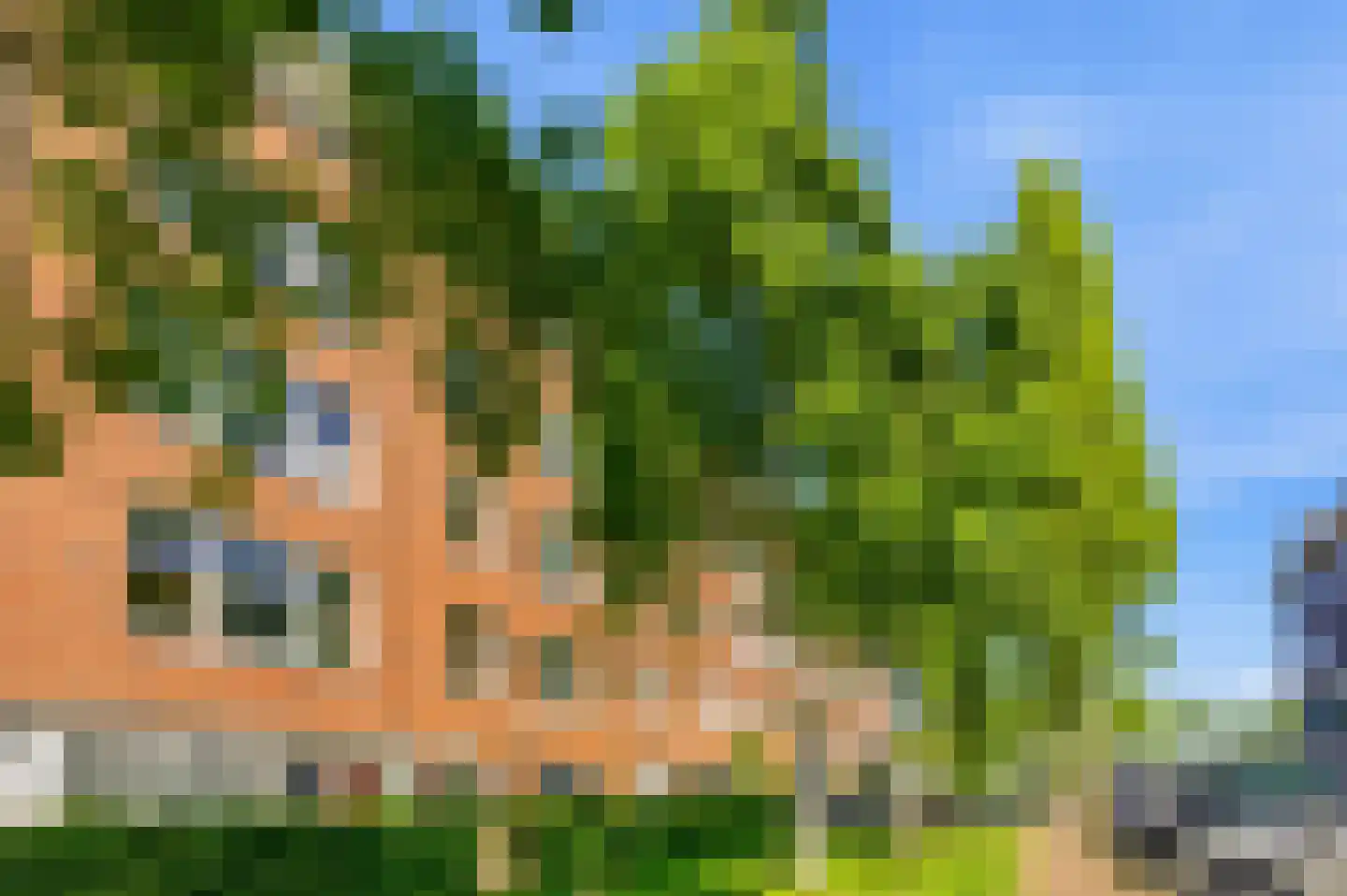 Bloys van Treslongstraat 24 2 Amsterdam thumbnail 29