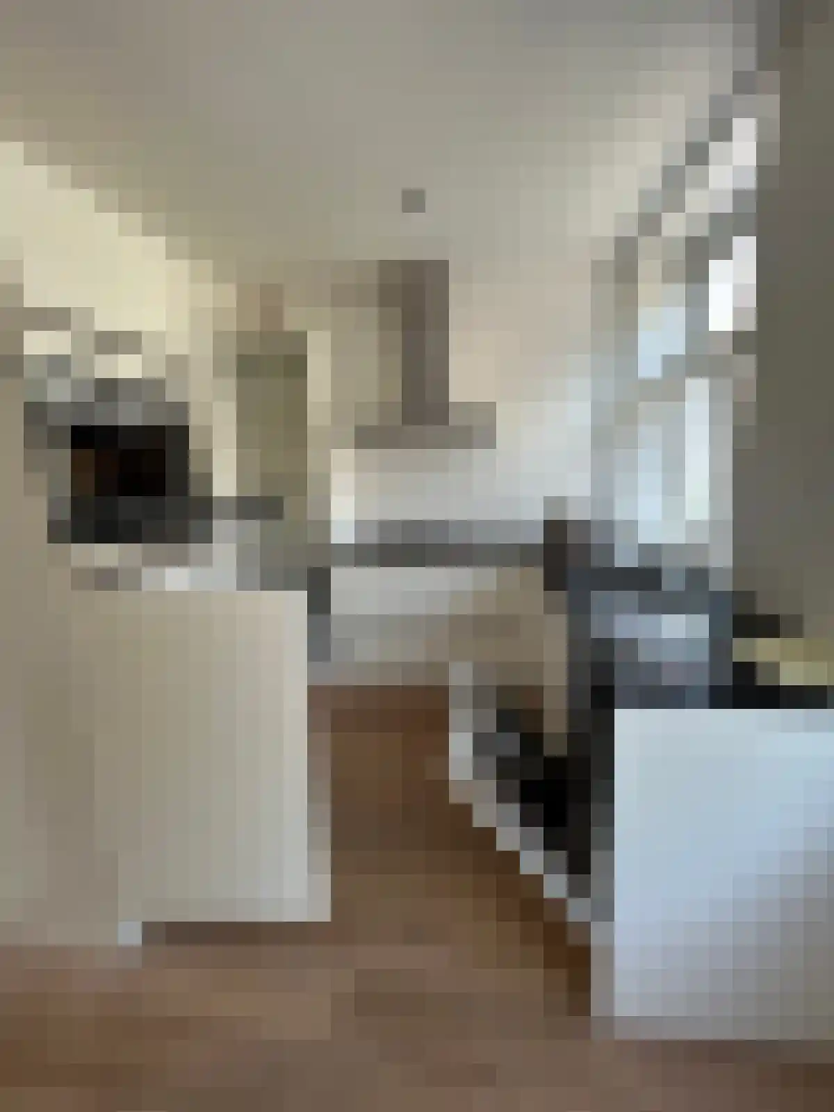 Bloys van Treslongstraat 41 Amsterdam thumbnail 4