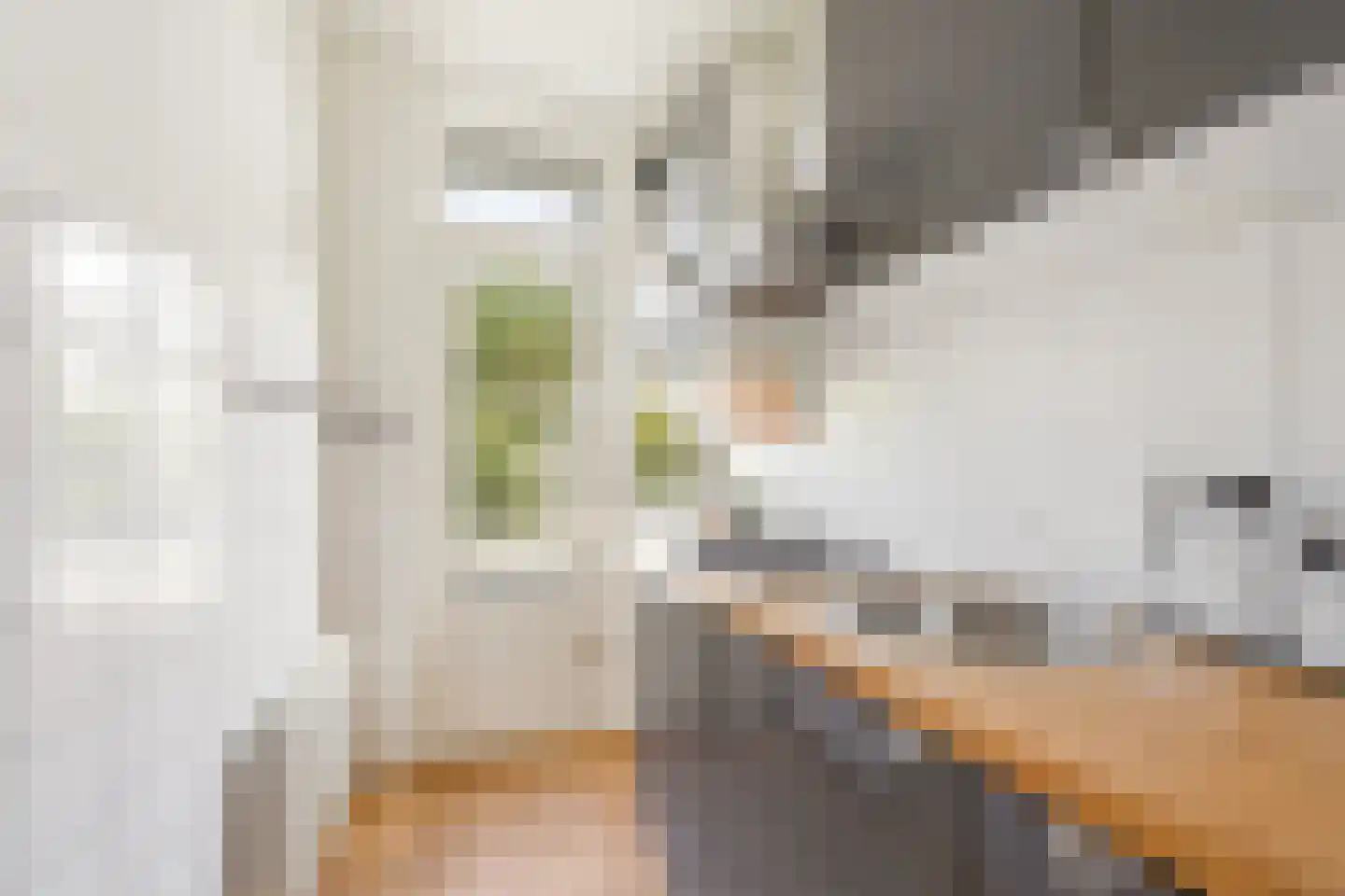 Bloys van Treslongstraat 48 1 Amsterdam thumbnail 22