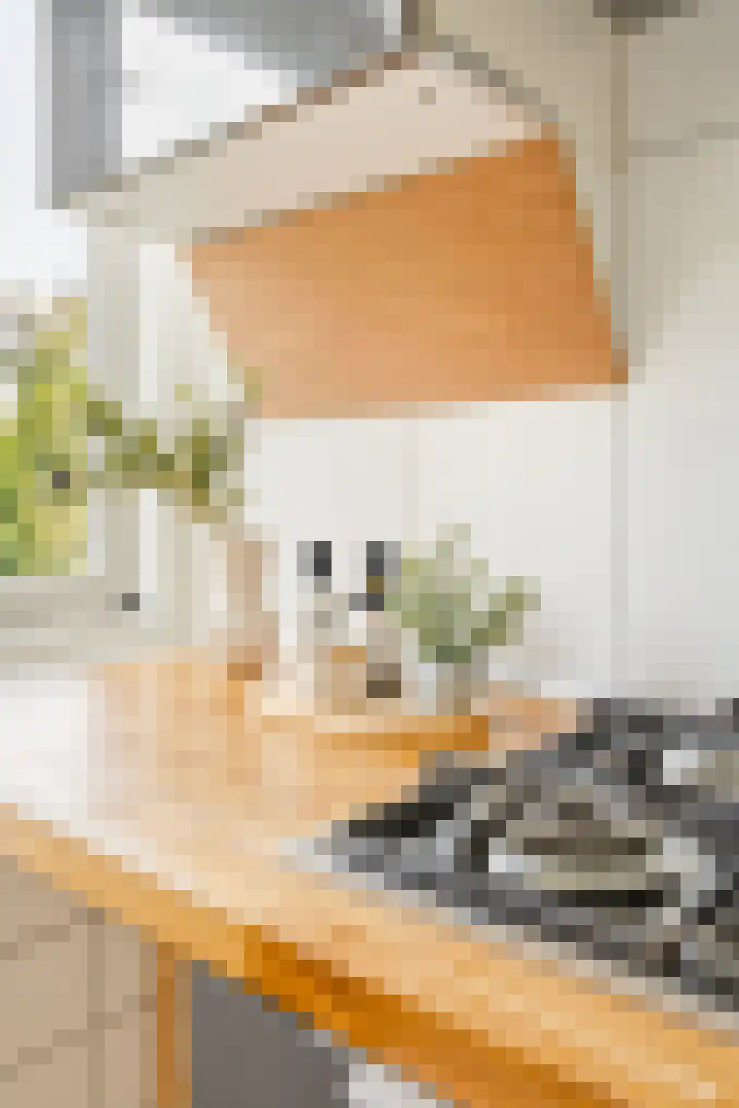 Bloys van Treslongstraat 48 1 Amsterdam thumbnail 23
