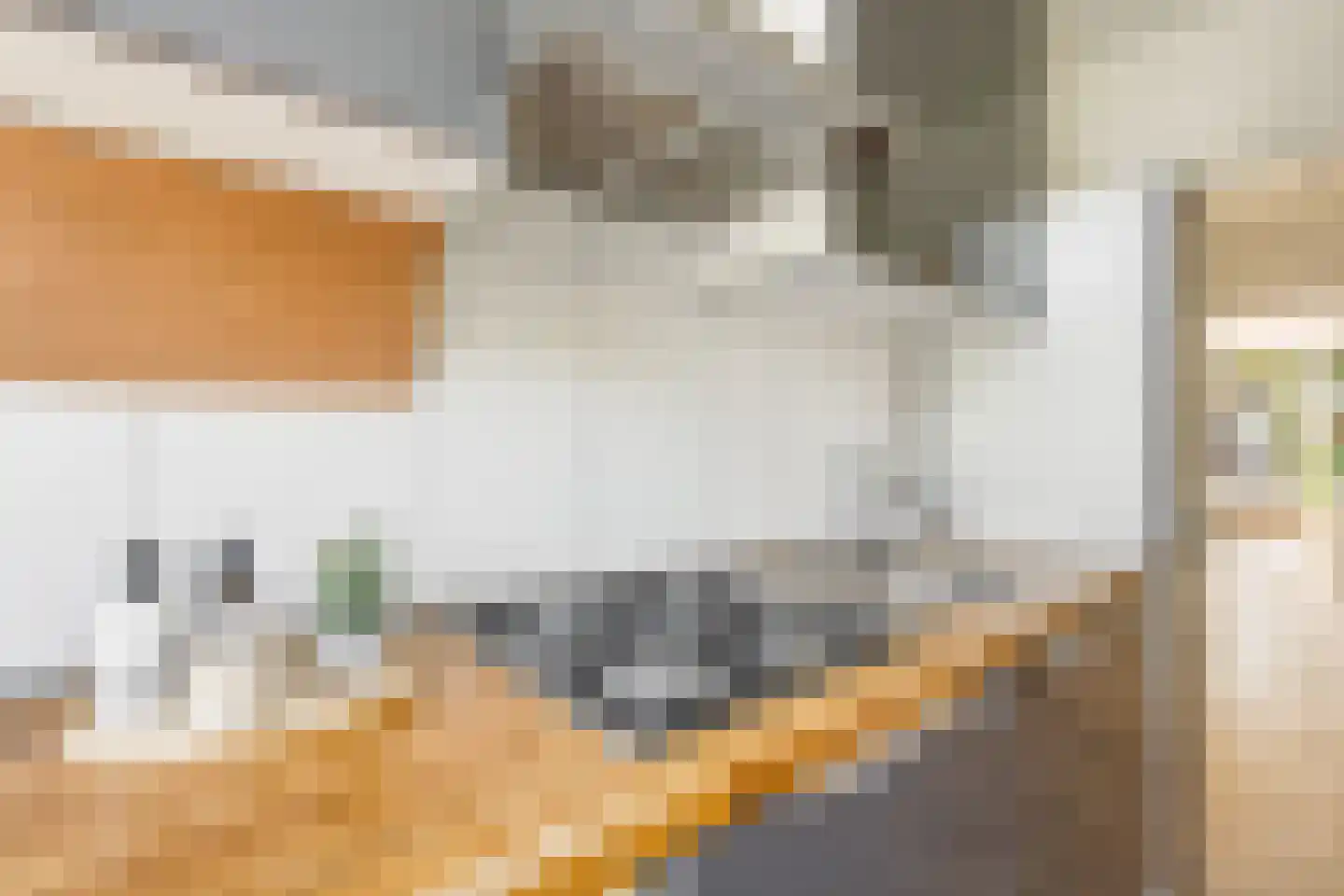 Bloys van Treslongstraat 48 1 Amsterdam thumbnail 24