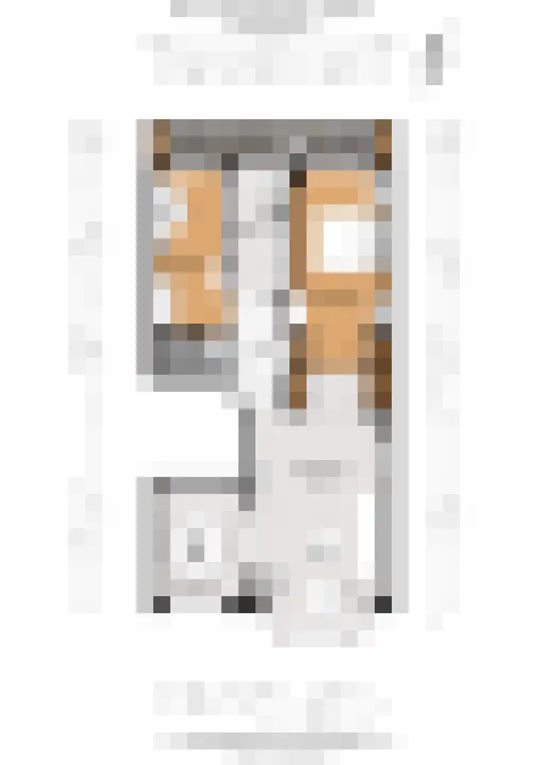 Bloys van Treslongstraat 48 1 Amsterdam thumbnail 41