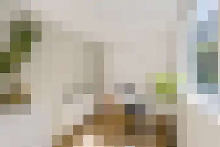 Bloys van Treslongstraat 48 H Amsterdam thumbnail 15