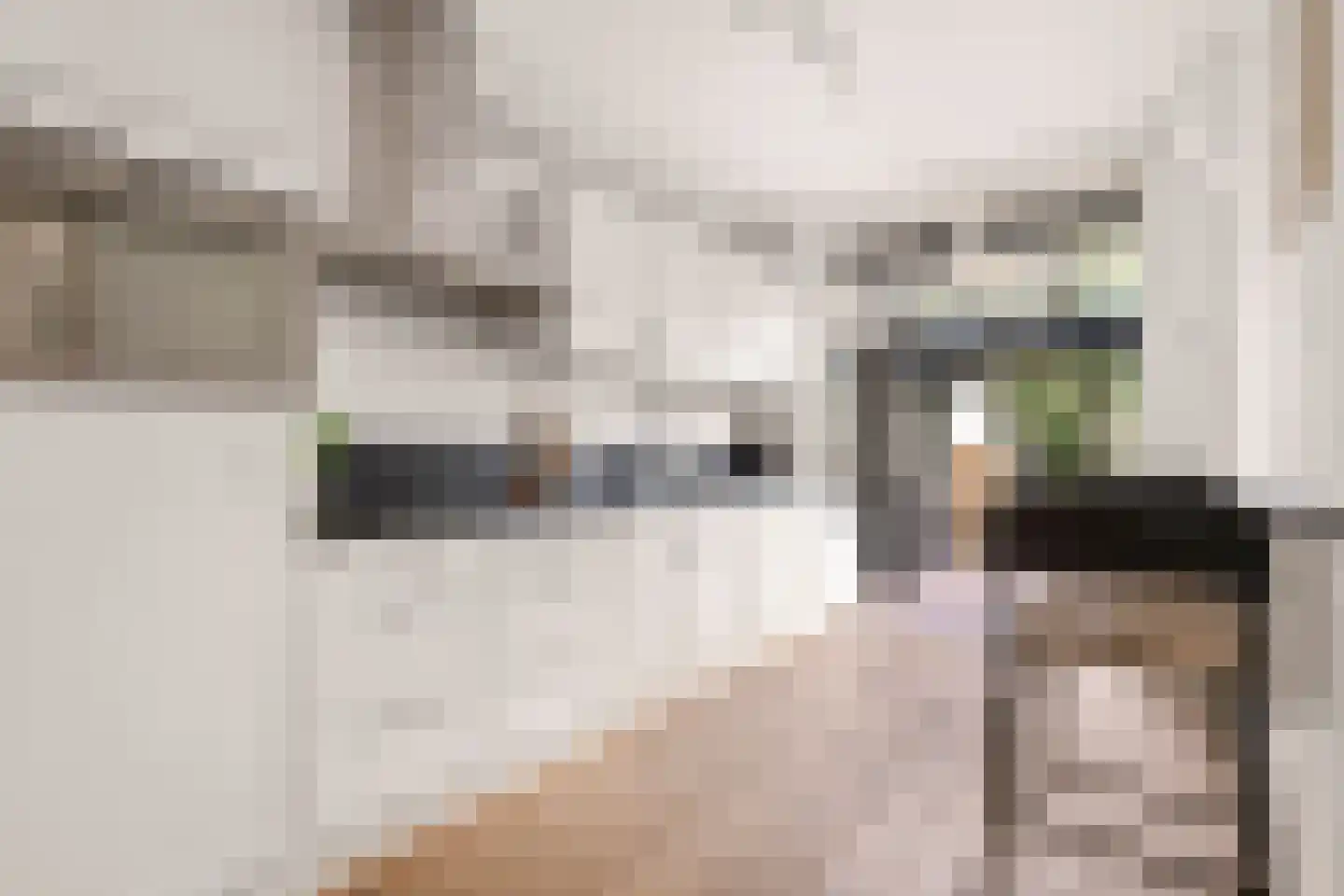 Bloys van Treslongstraat 50 H Amsterdam thumbnail 10