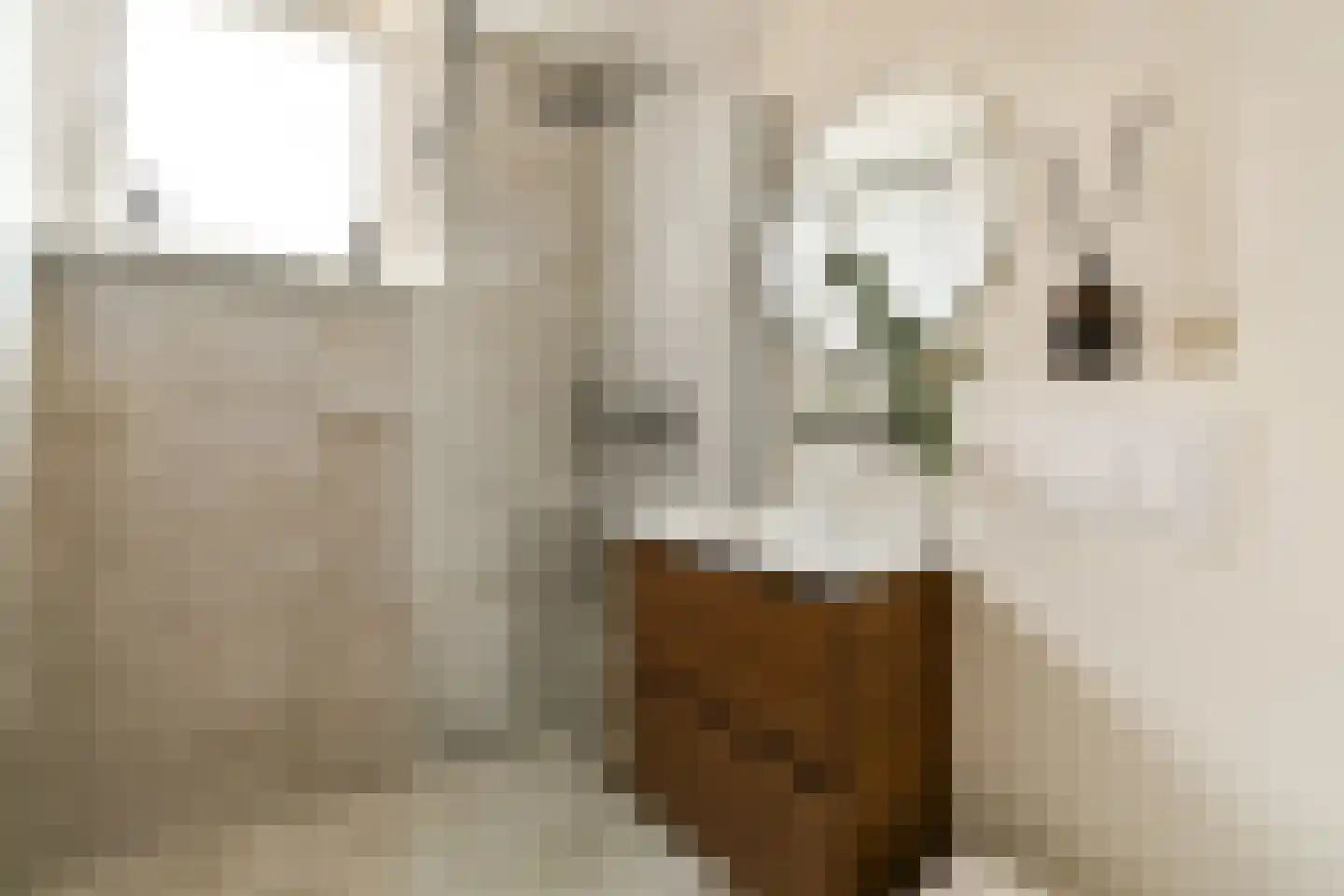 Bloys van Treslongstraat 52 1 Amsterdam thumbnail 16