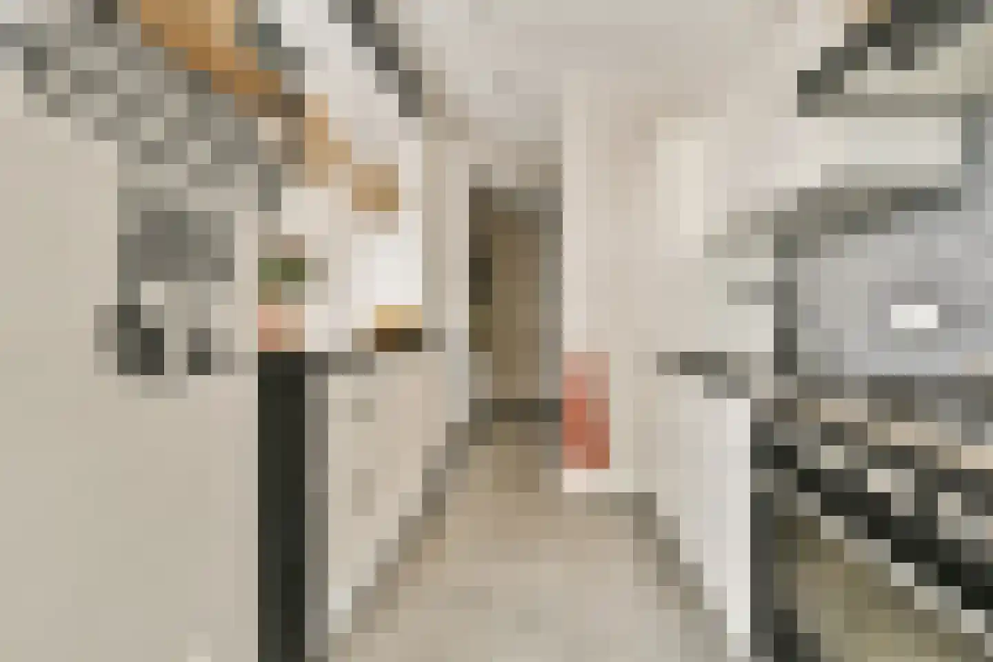 Bloys van Treslongstraat 55 3 Amsterdam thumbnail 15