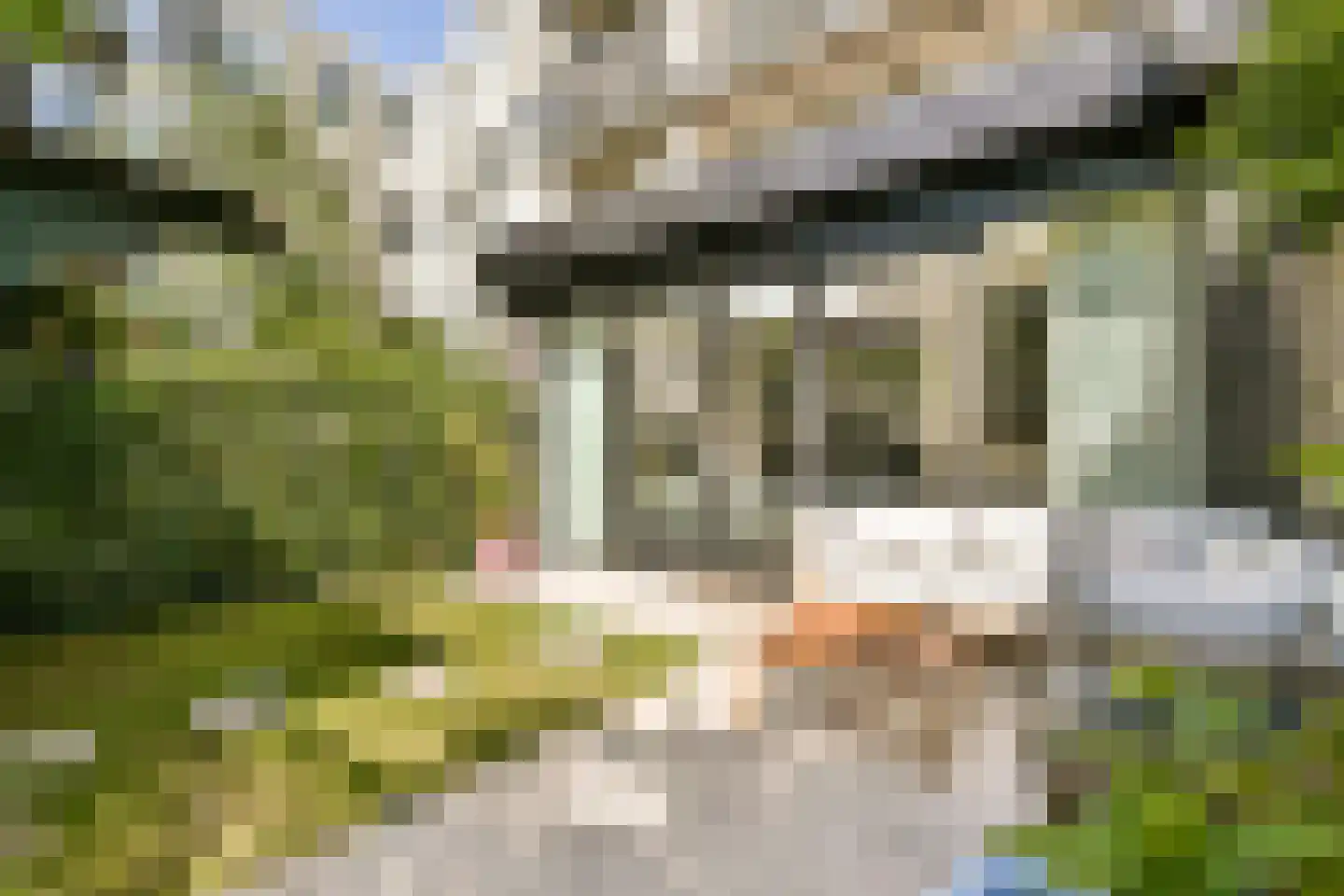 Bloys van Treslongstraat 55 3 Amsterdam thumbnail 6