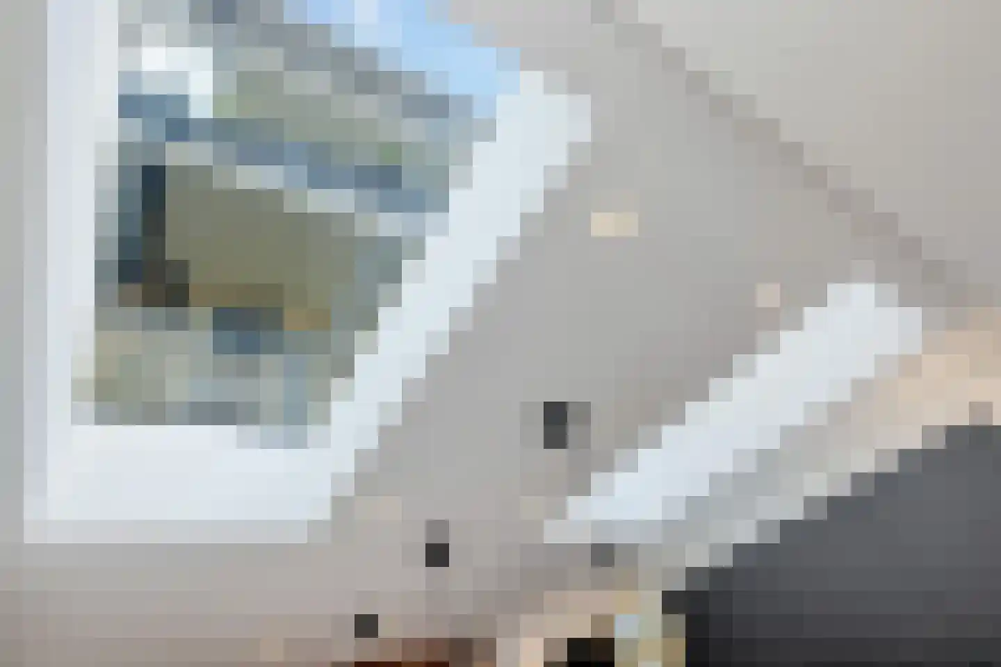 Bloys van Treslongstraat 58 1 Amsterdam thumbnail 16